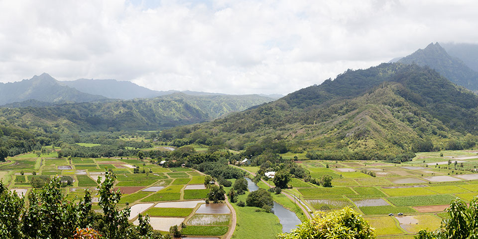 Hawaii Road Trips