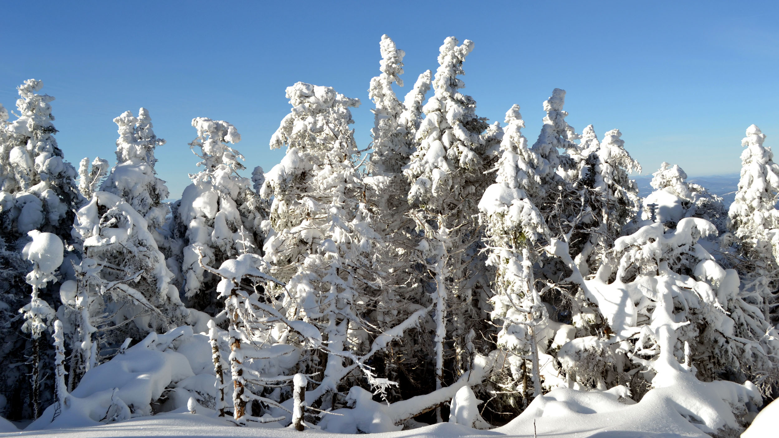 New Hampshire Road Trips