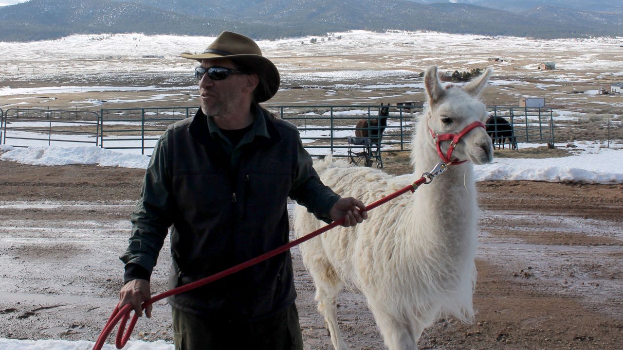 Stuart Wilde is the owner and wilderness guide behind Wild Earth Llama Adventures.